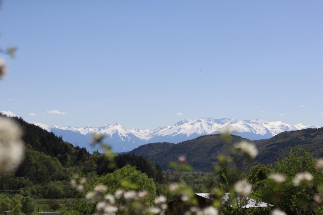 Pirin Place Bansko Exterior photo